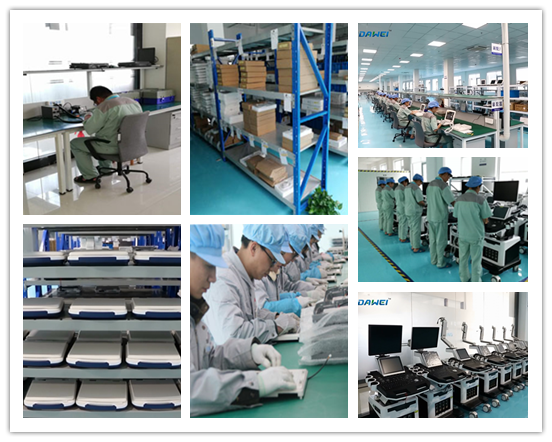 Dawei DW-C60 PLUS color doppler ultrasound scanner PW and 3D function