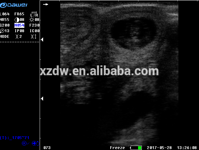 DW-VET6 handheld ultrasound veterinary scanner palm ultrasound DW-VET6 handheld ultrasound veterinary scanner palm ultrasound