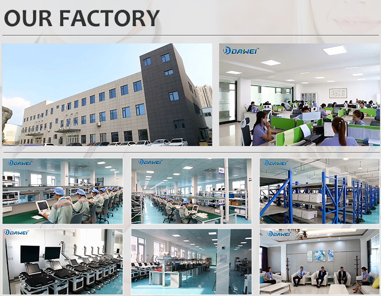 DW-VET6 handheld ultrasound veterinary scanner palm ultrasound