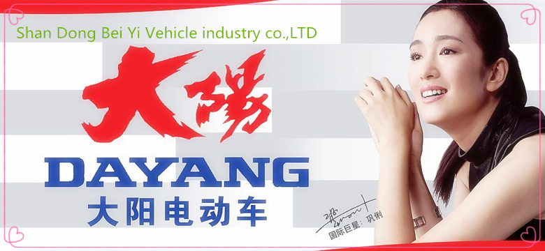 Popular Hot Selling 4 Seats High Quality Electric Car / Cheaper Electric Vehicle With 1200w Motor/Electric Car